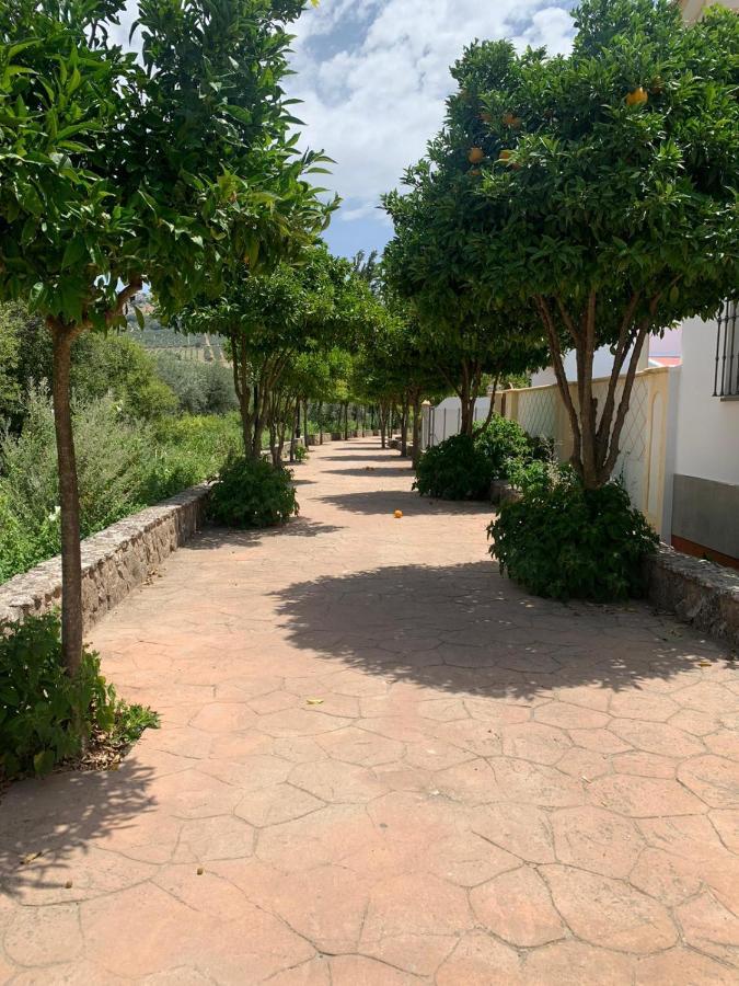 Apartamento En Cuevas Del Becerro Exteriör bild